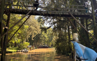 5 alquiler cabañas tigre