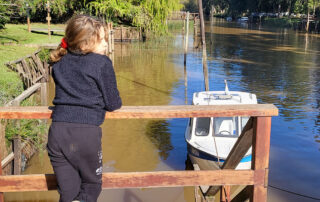 6 alquiler cabañas tigre